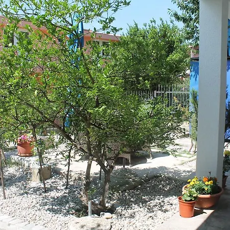 Zeleni Vrt